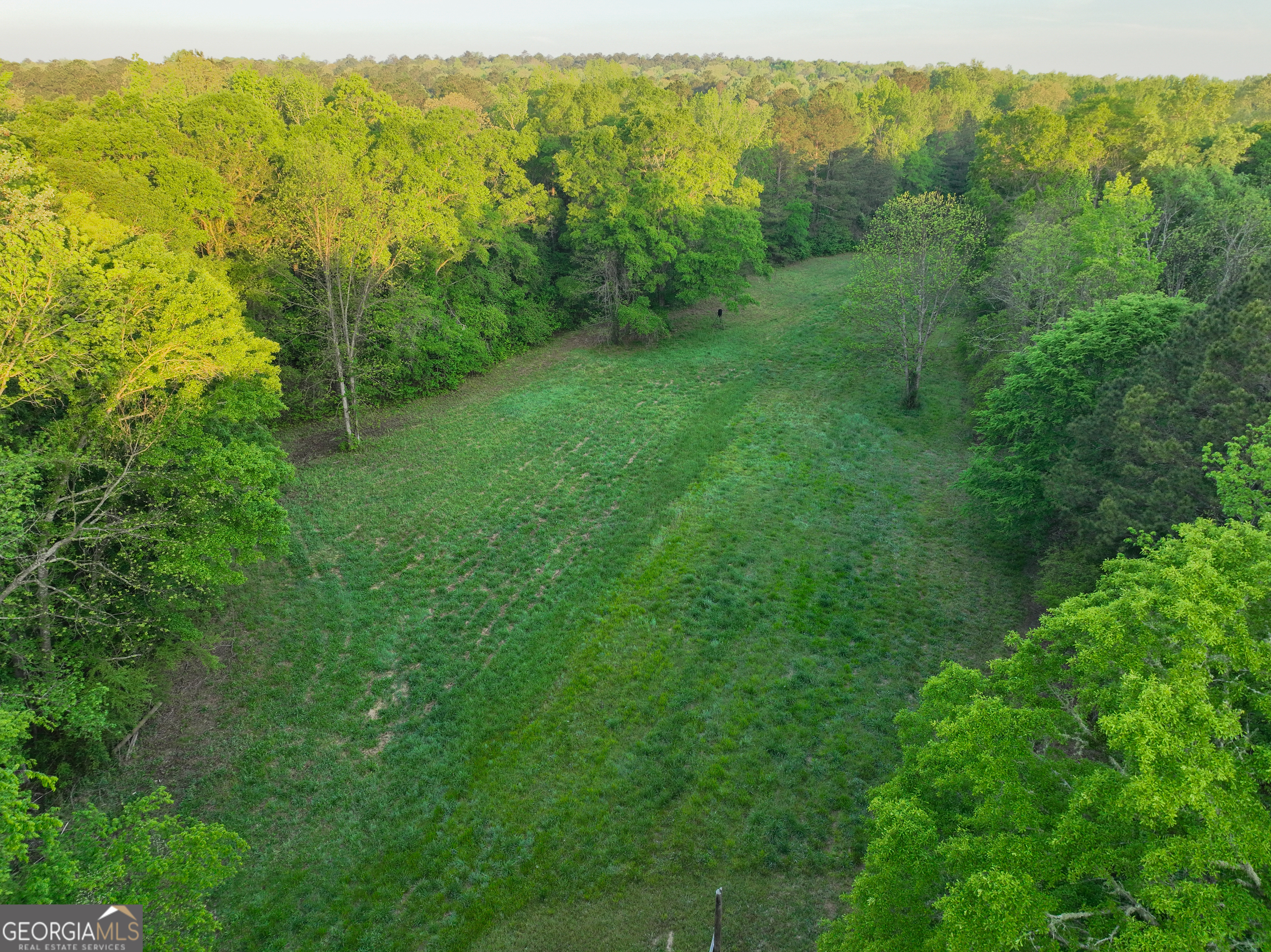 56 Ivey Circle Forsyth, GA 31029 - Photo 52 of 61 a view of a lush green forest with trees and some houses