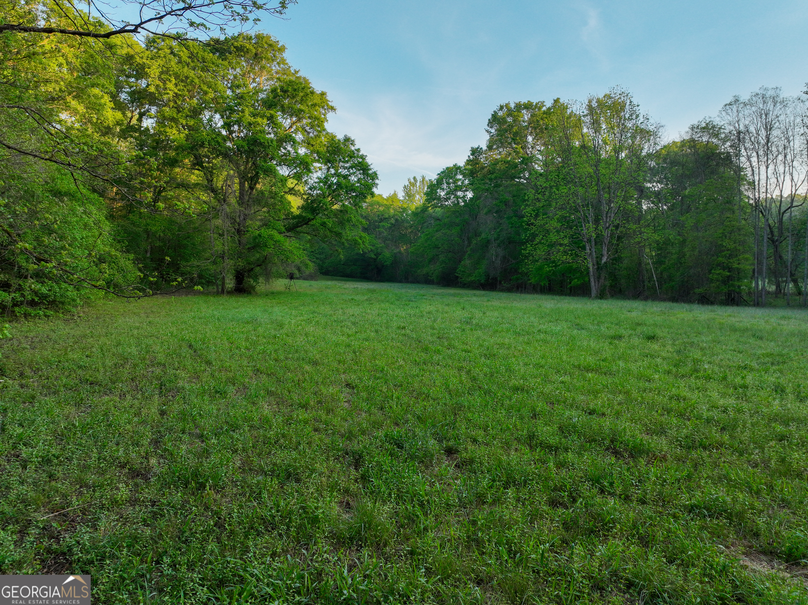 56 Ivey Circle Forsyth, GA 31029 - Photo 54 of 61 a view of a grassy field with trees in the background