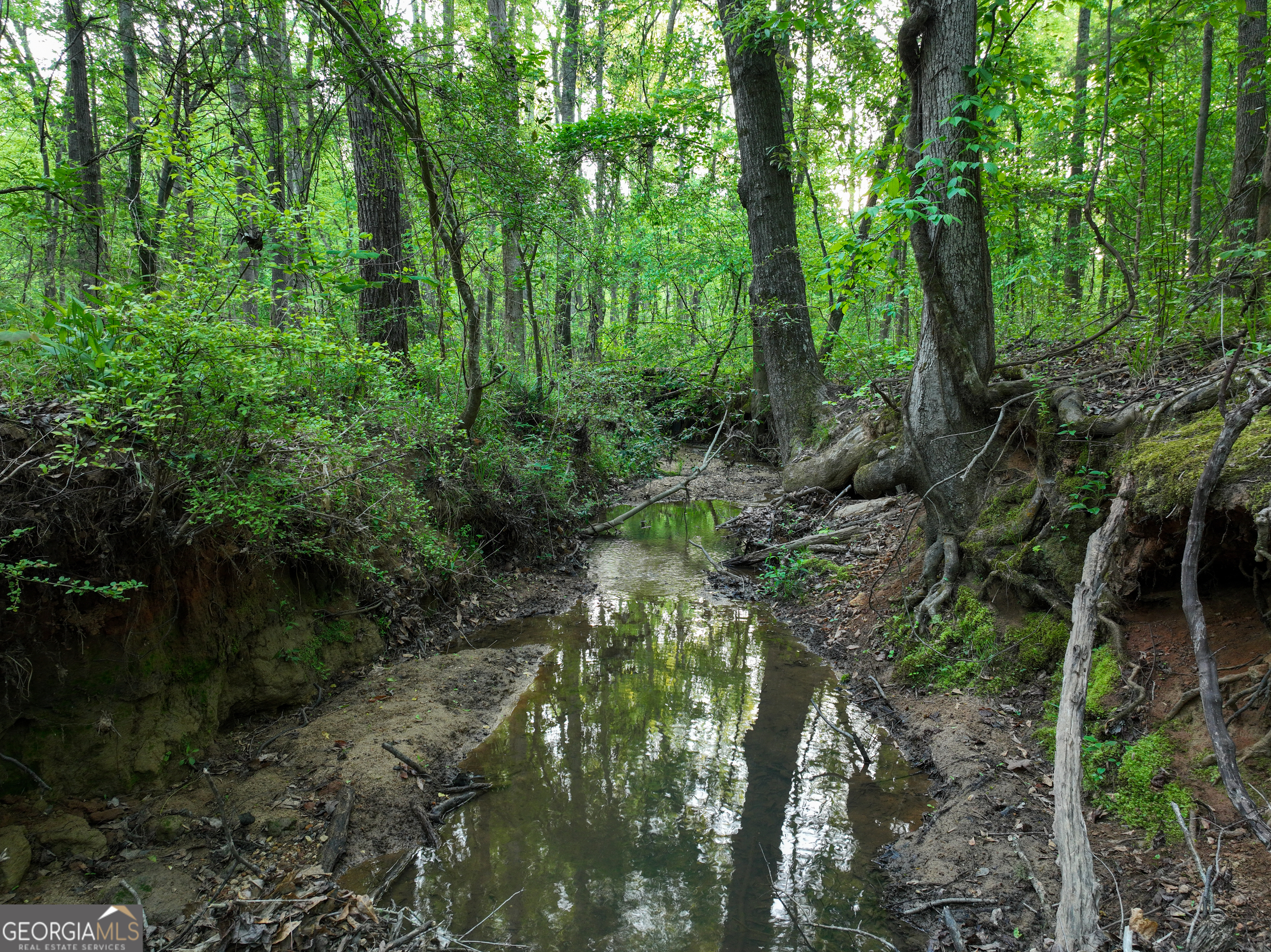 56 Ivey Circle Forsyth, GA 31029 - Photo 56 of 61
