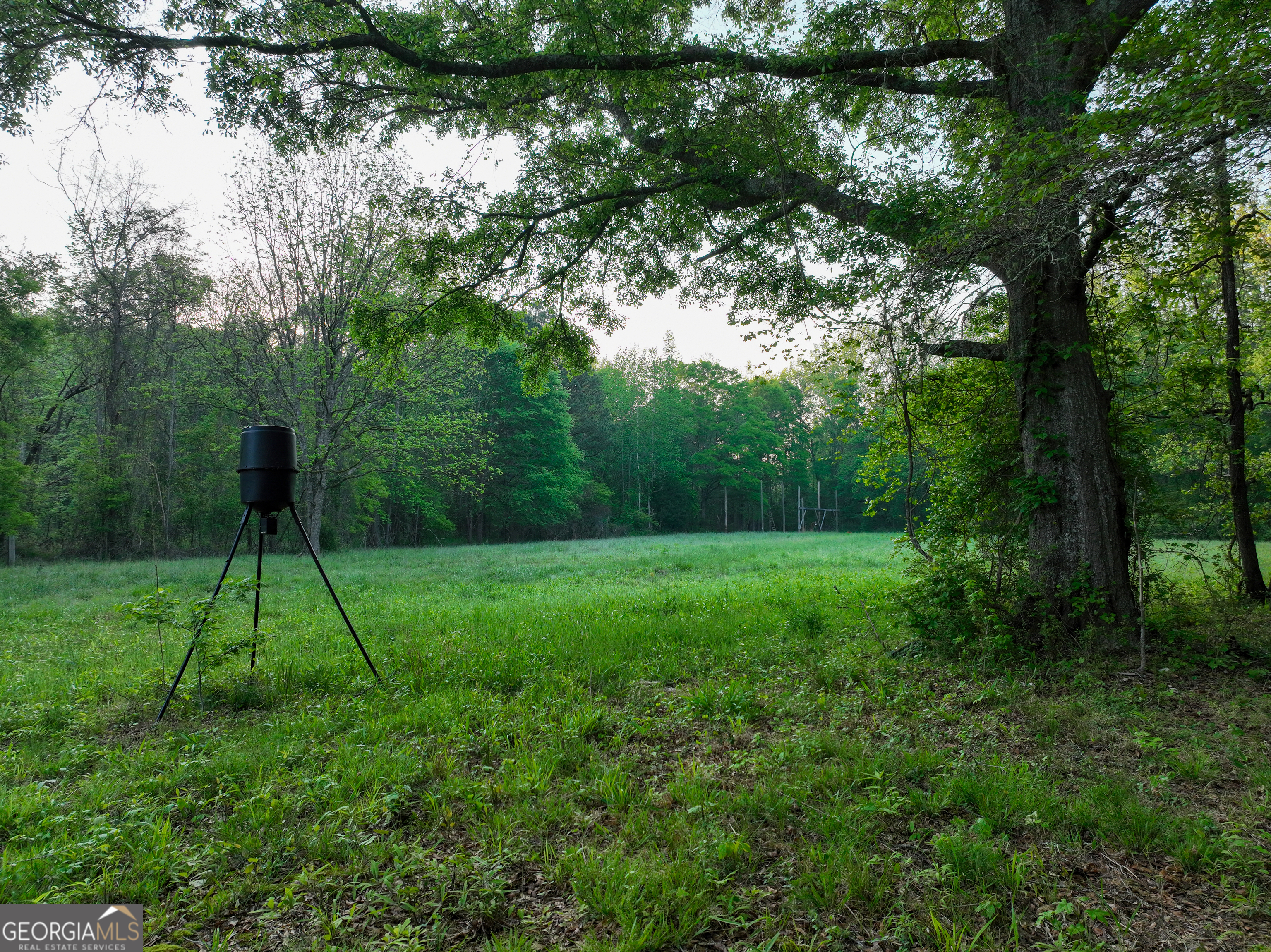 56 Ivey Circle Forsyth, GA 31029 - Photo 6 of 61