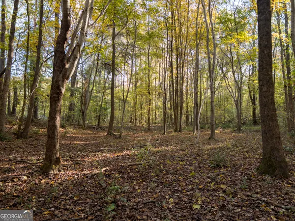 a view of backyard with green space