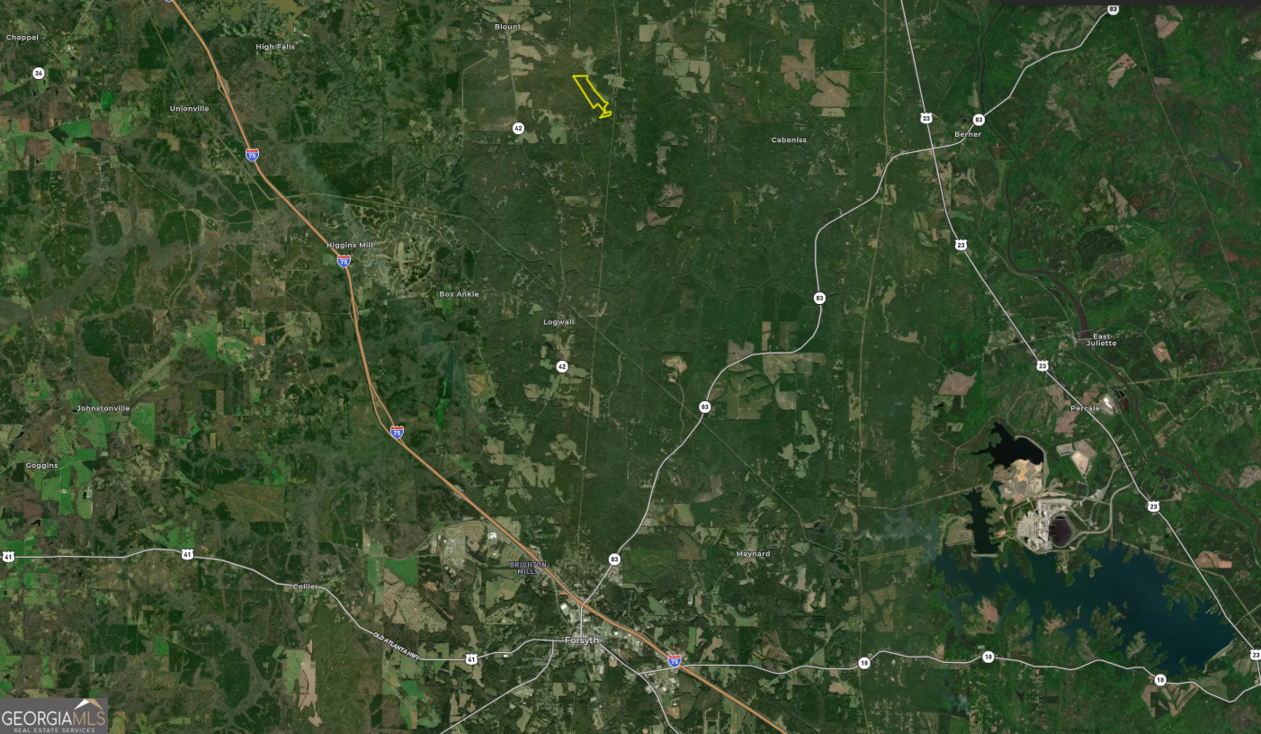 56 Ivey Circle Forsyth, GA 31029 - Photo 61 of 61