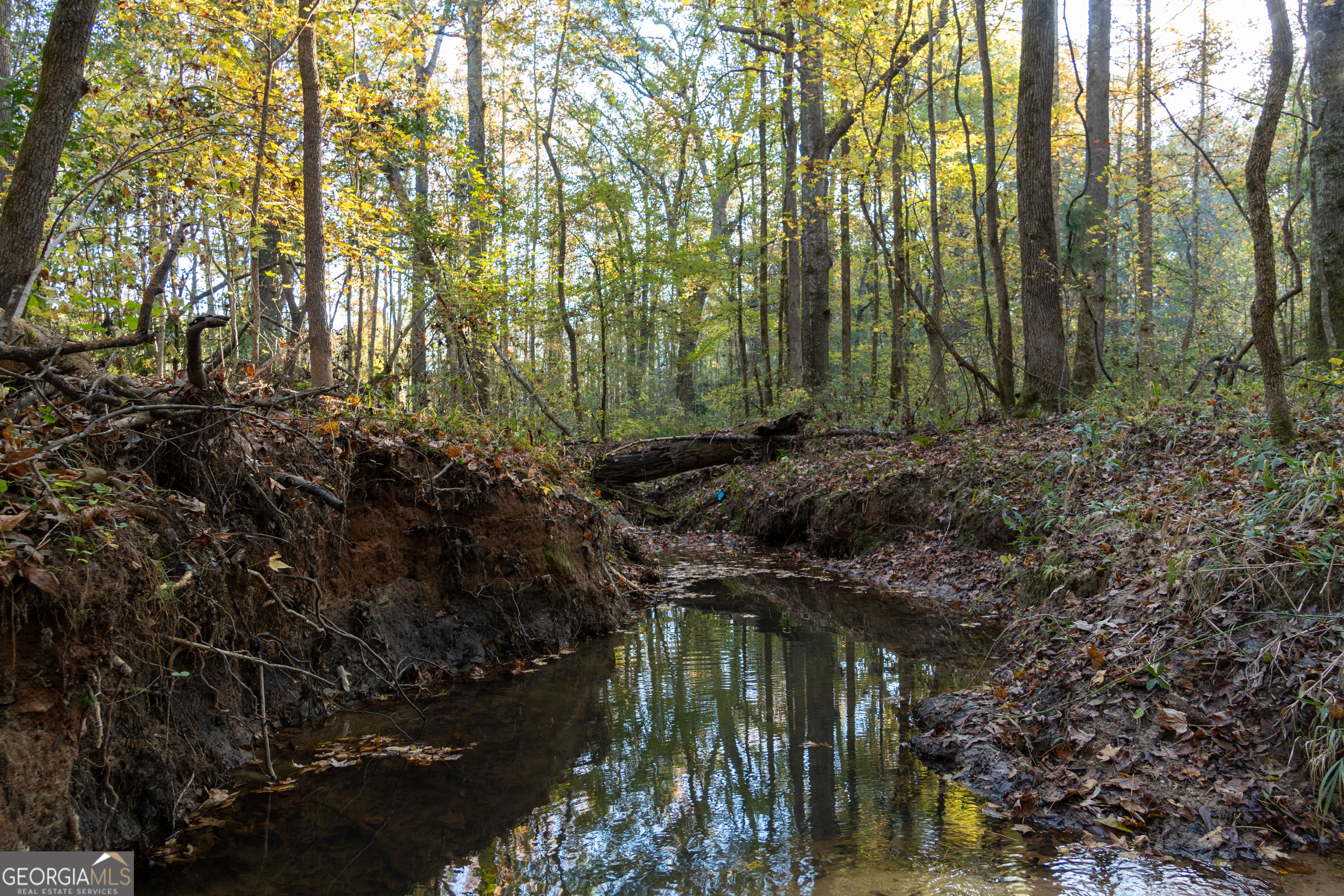 56 Ivey Circle Forsyth, GA 31029 - Photo 7 of 61 a backyard of a house with lots of green space