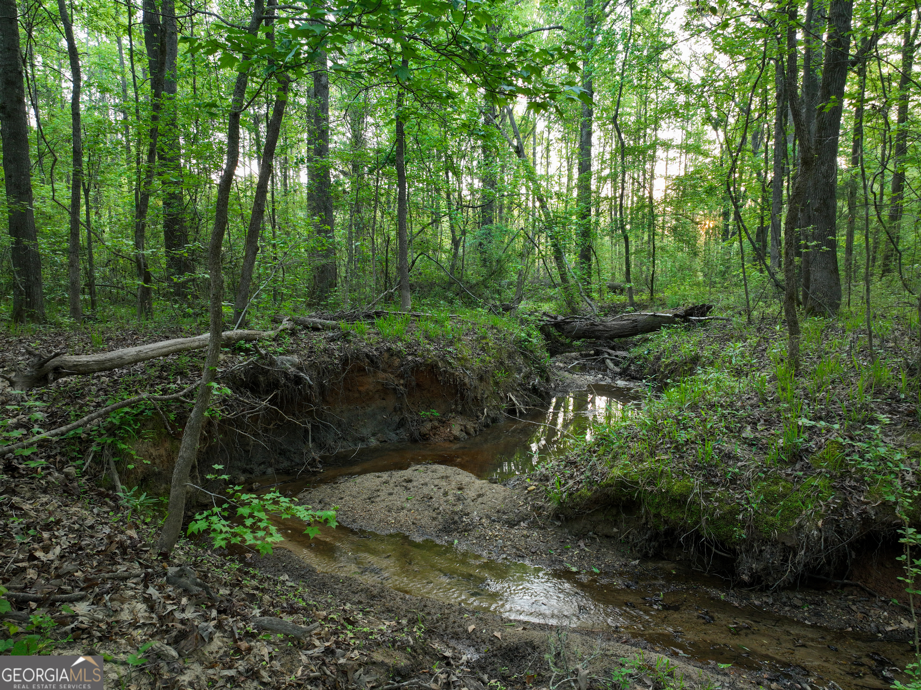 56 Ivey Circle Forsyth, GA 31029 - Photo 8 of 61 a backyard of a house with lots of green space