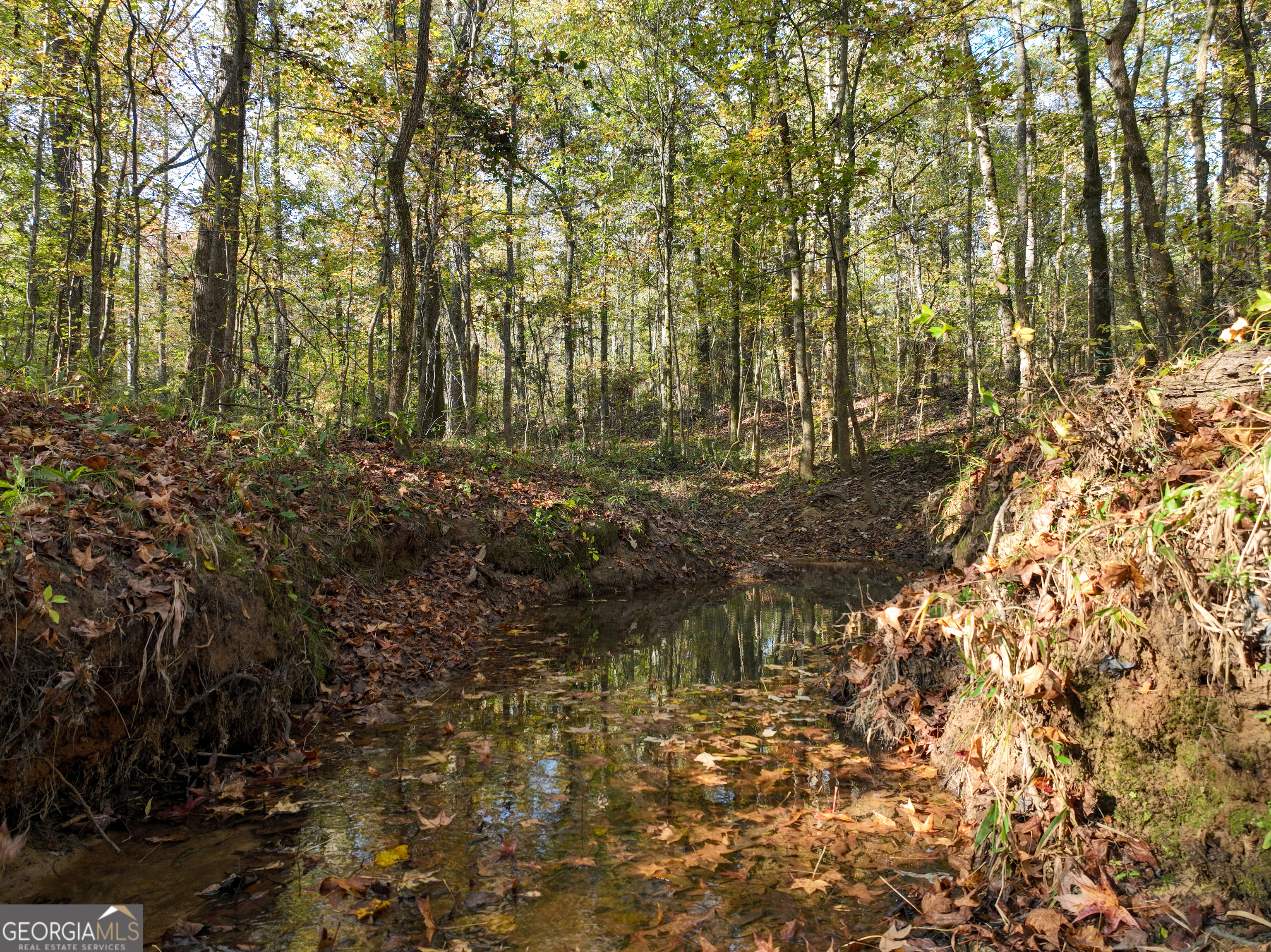 56 Ivey Circle Forsyth, GA 31029 - Photo 9 of 61 a backyard of a house with lots of green space