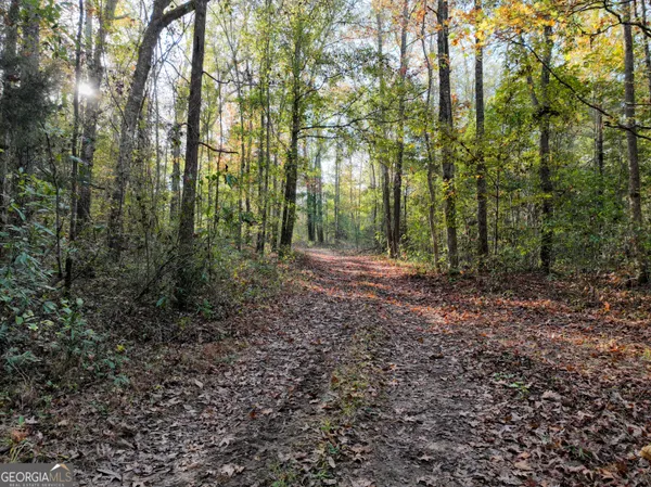 a view of outdoor space and trees