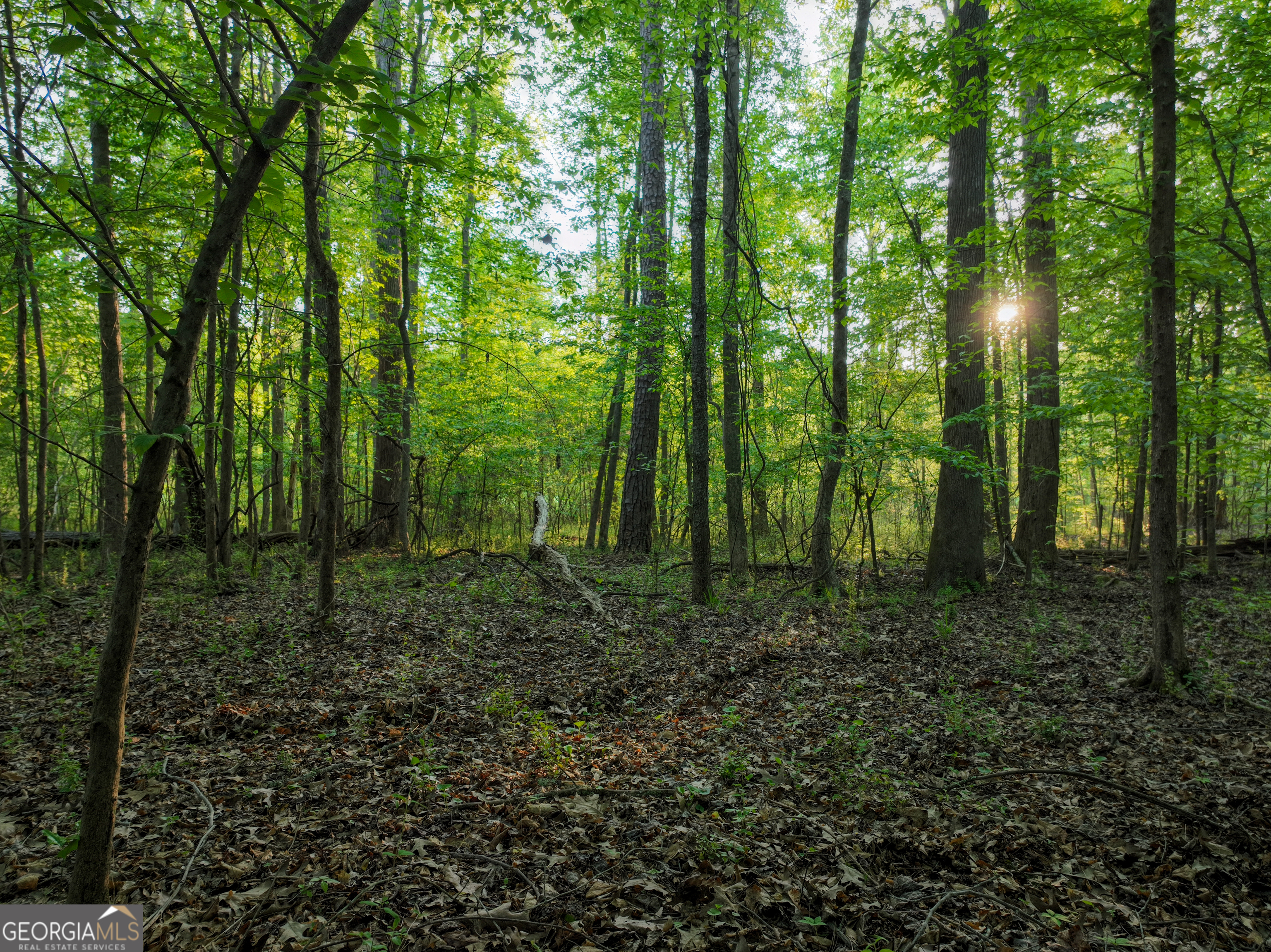 56 Ivey Circle Forsyth, GA 31029 - Photo 10 of 61 a view of outdoor space and green space