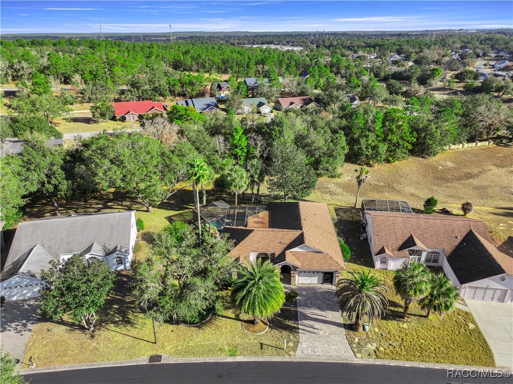 5381 West Heather Ridge Path Lecanto, FL 34461 - Photo 47 of 49