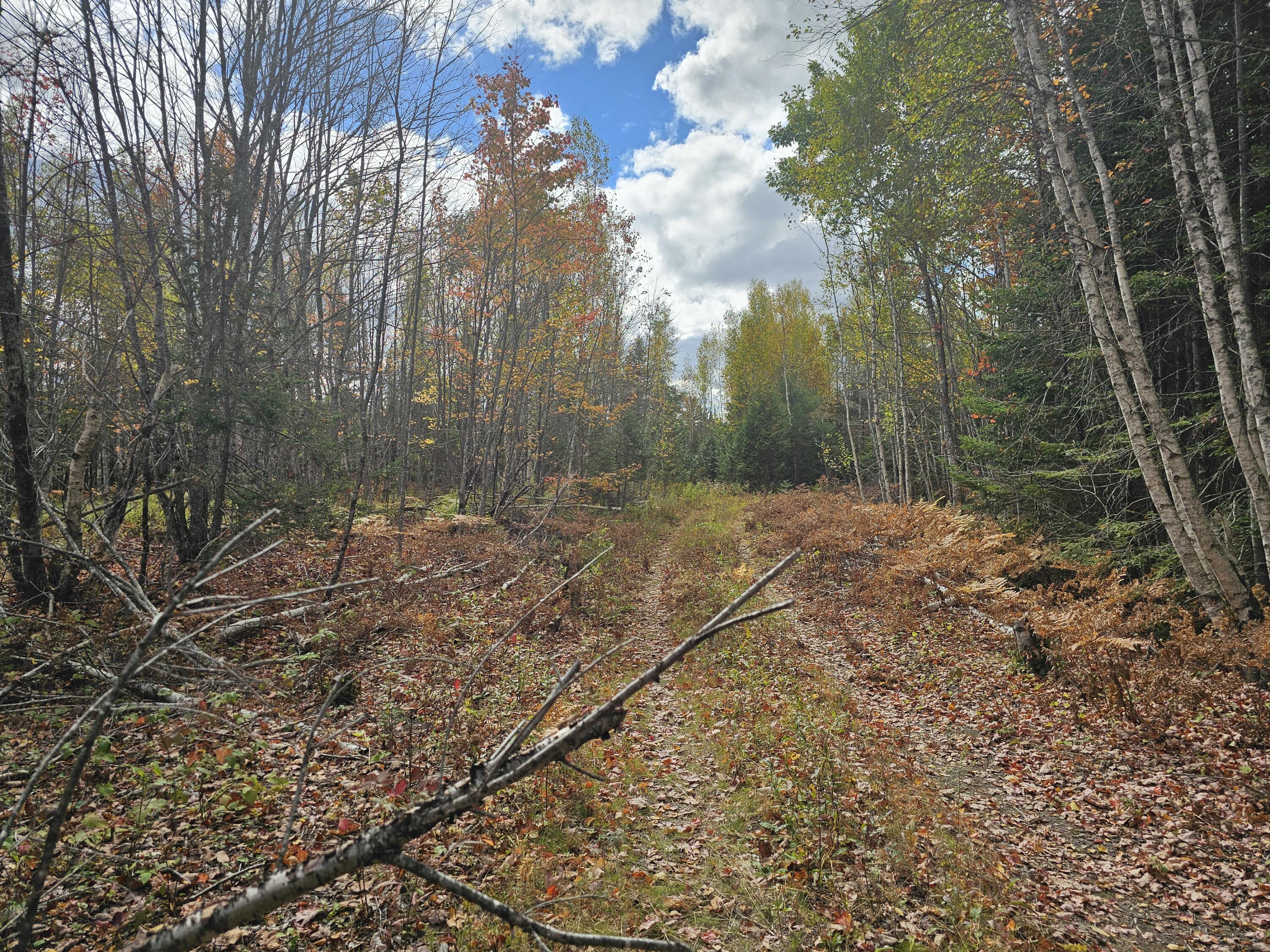 12 Fox Run Ellsworth, ME 04605 - Photo 12 of 25 20251001_124654