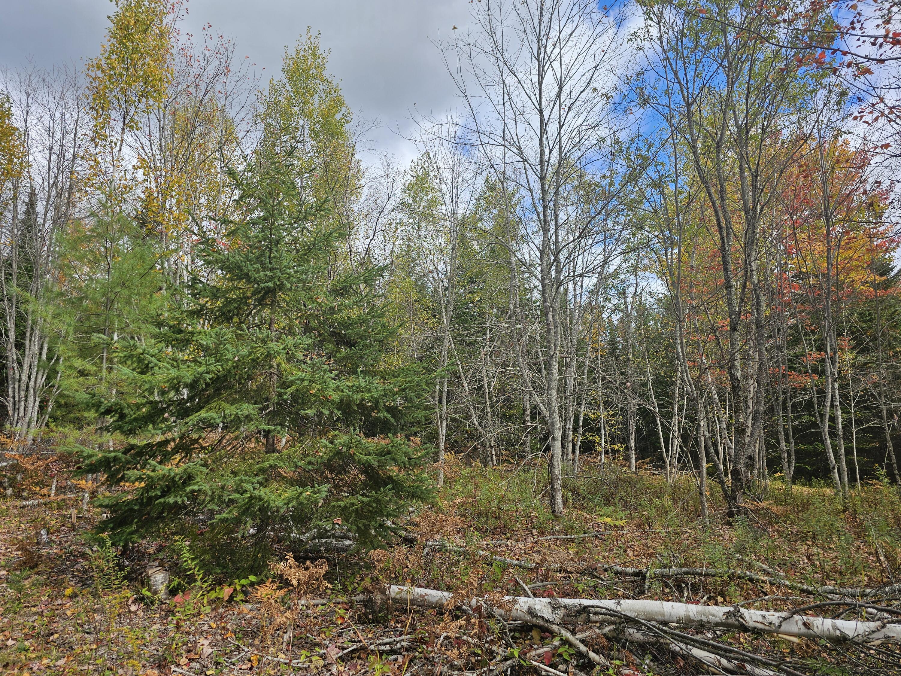 12 Fox Run Ellsworth, ME 04605 - Photo 13 of 25 20251001_124706