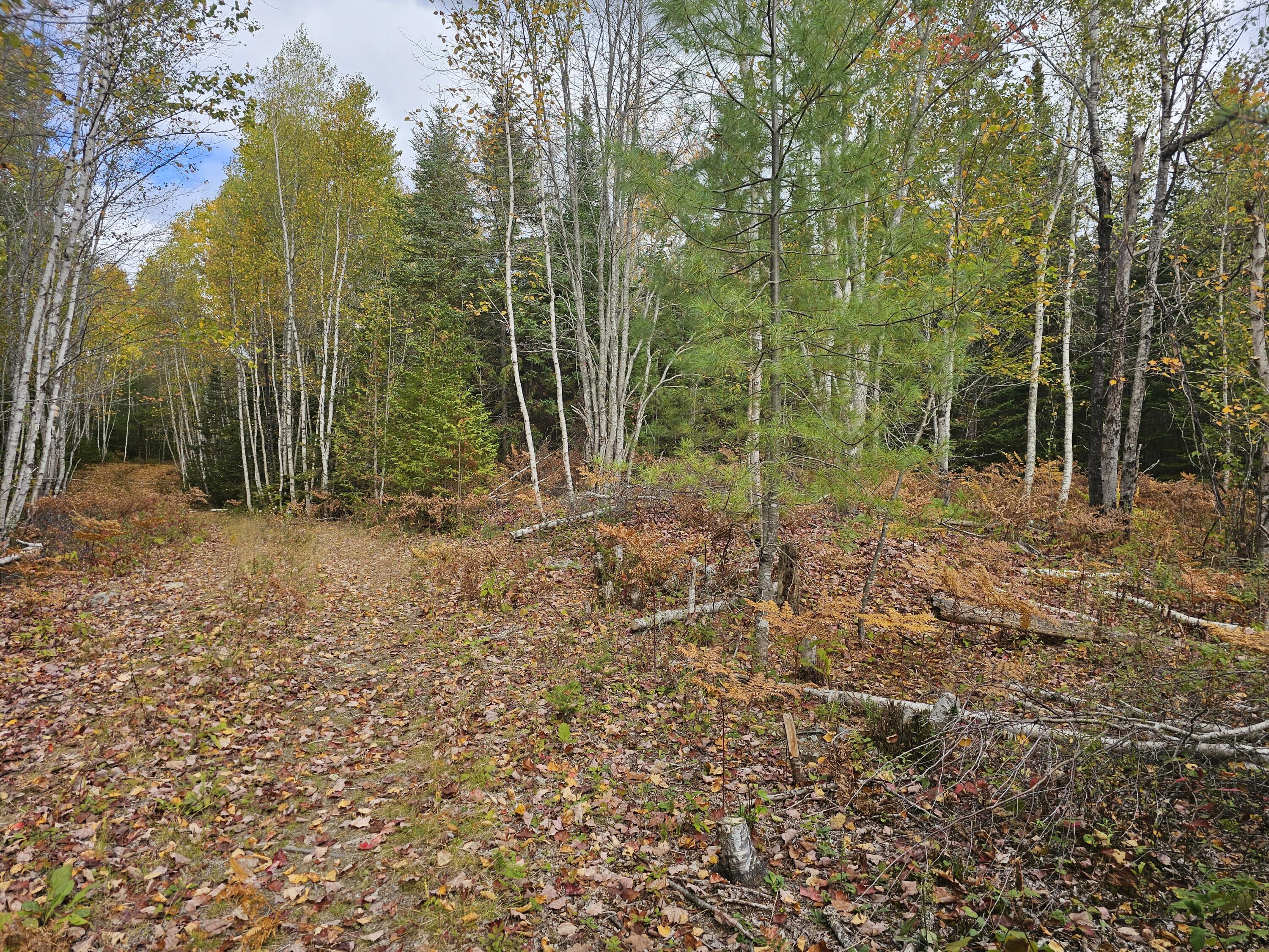 12 Fox Run Ellsworth, ME 04605 - Photo 14 of 25 20251001_124713