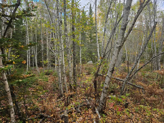 $85,000 | 12 Fox Run, Ellsworth, ME 04605