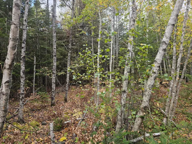 $85,000 | 12 Fox Run, Ellsworth, ME 04605