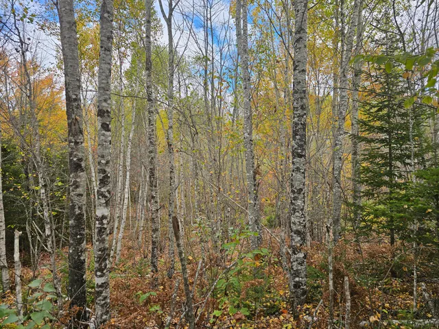 $85,000 | 12 Fox Run, Ellsworth, ME 04605