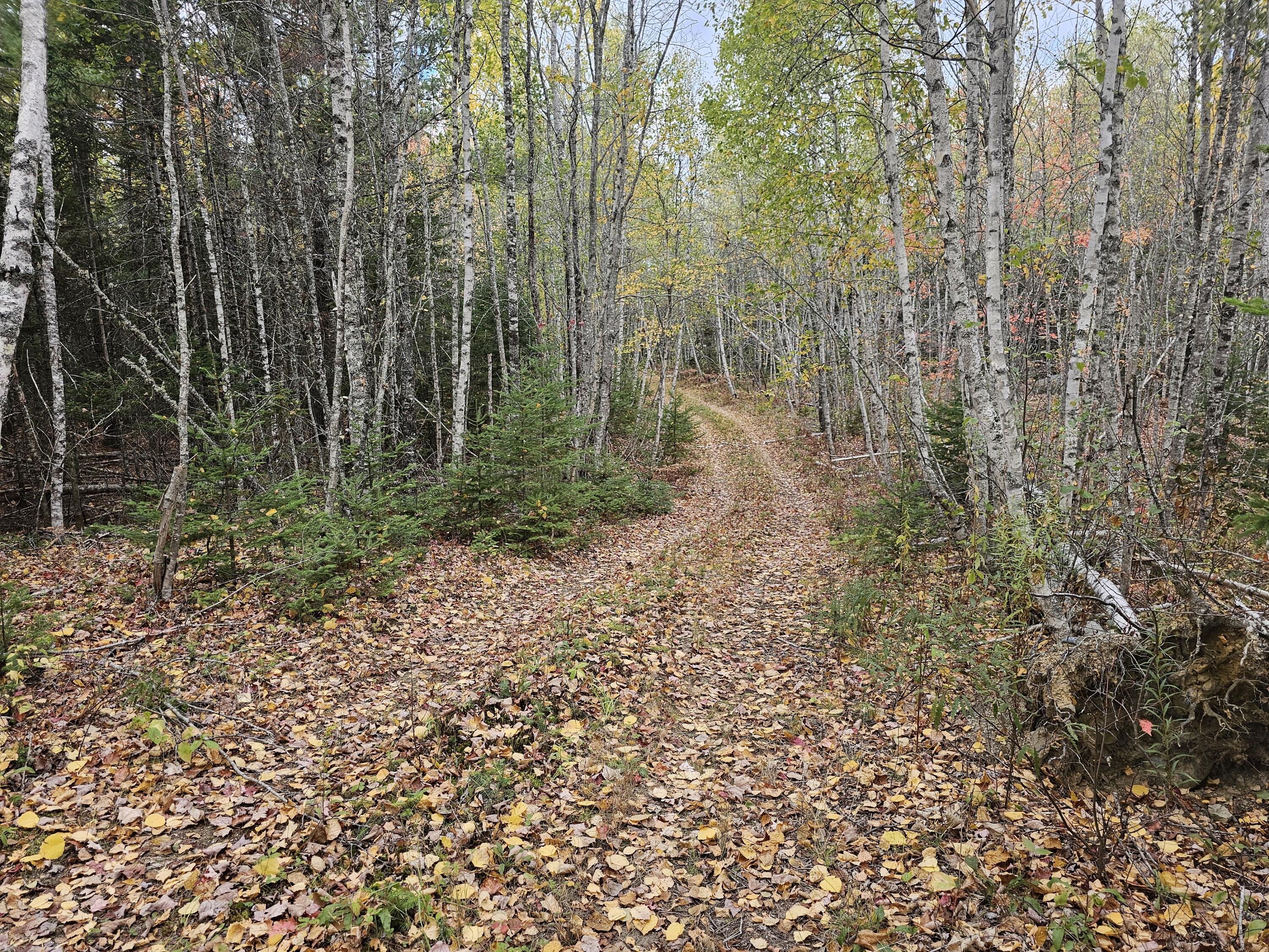 12 Fox Run Ellsworth, ME 04605 - Photo 22 of 25 20251001_125203
