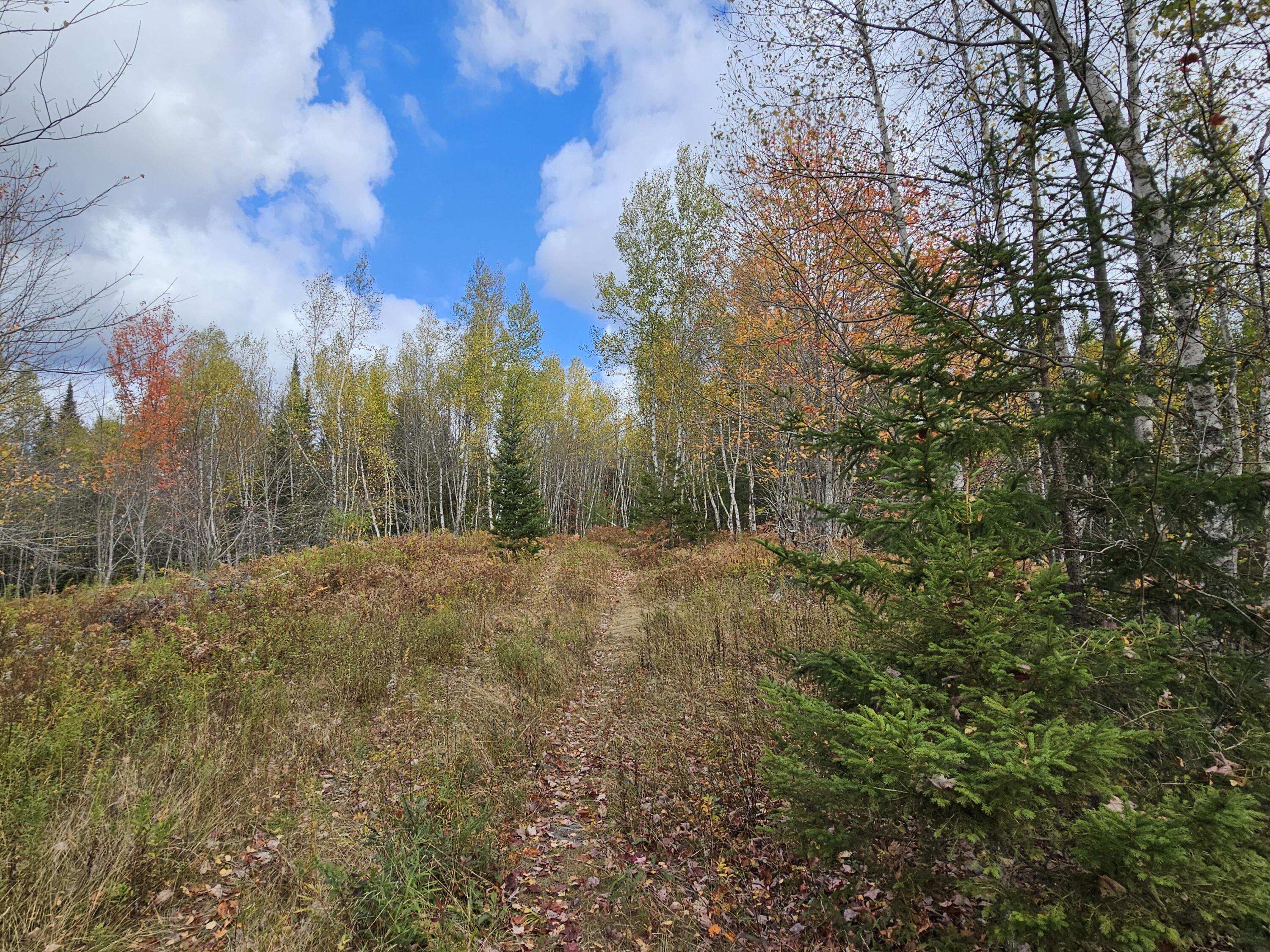 12 Fox Run Ellsworth, ME 04605 - Photo 24 of 25 20251001_124106