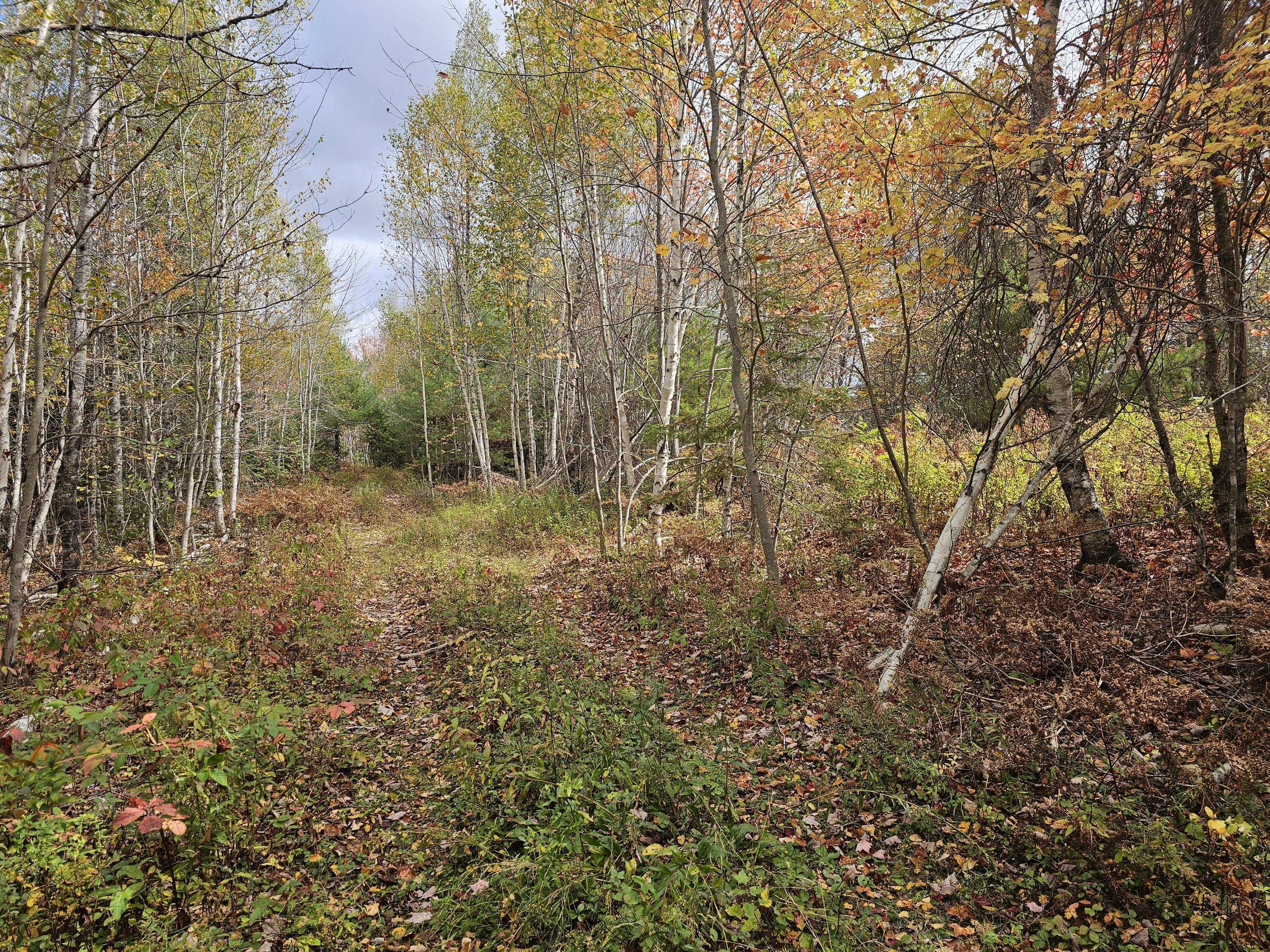 12 Fox Run Ellsworth, ME 04605 - Photo 3 of 25 20251001_124328