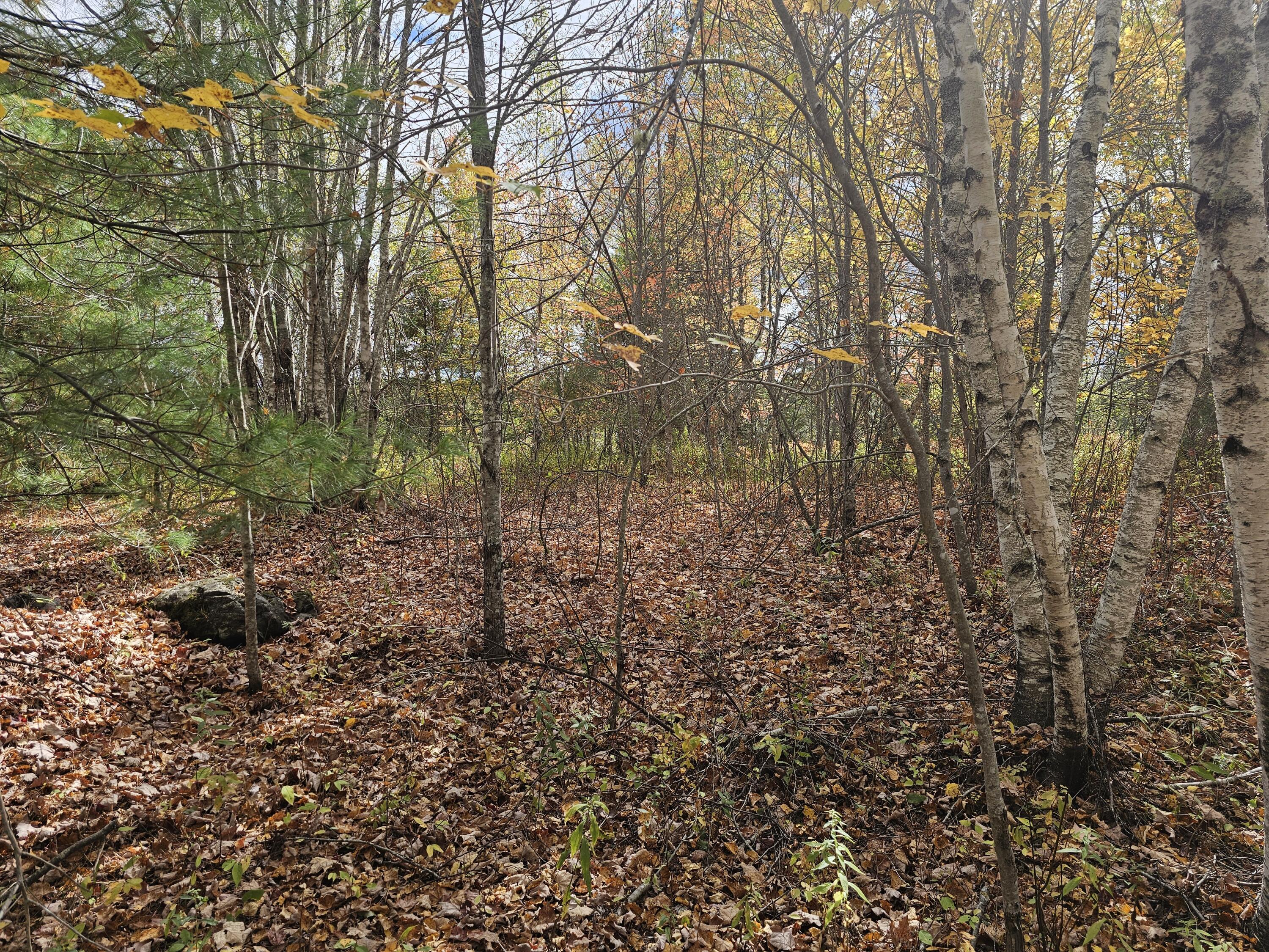 12 Fox Run Ellsworth, ME 04605 - Photo 7 of 25 20251001_124352