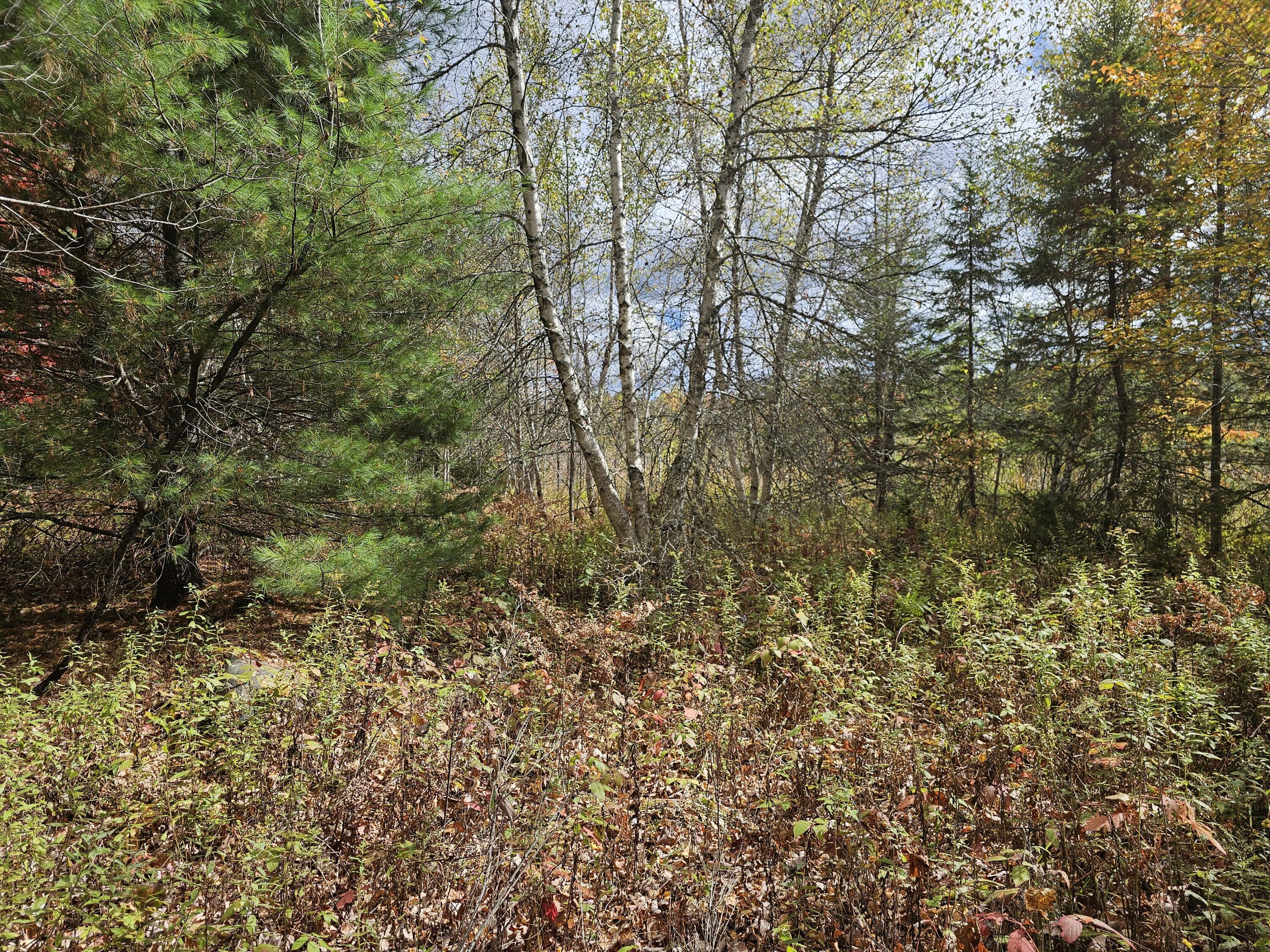 12 Fox Run Ellsworth, ME 04605 - Photo 8 of 25 20251001_124412
