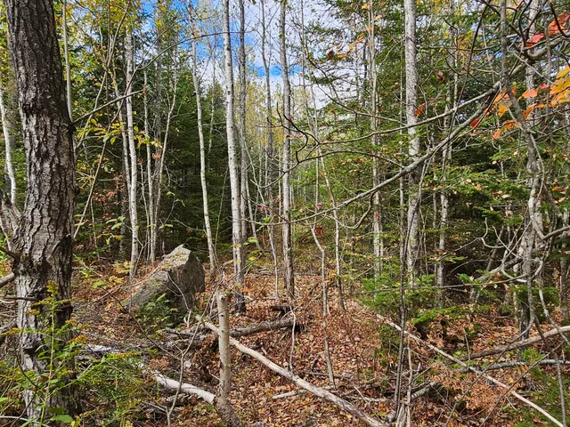 $85,000 | 12 Fox Run, Ellsworth, ME 04605