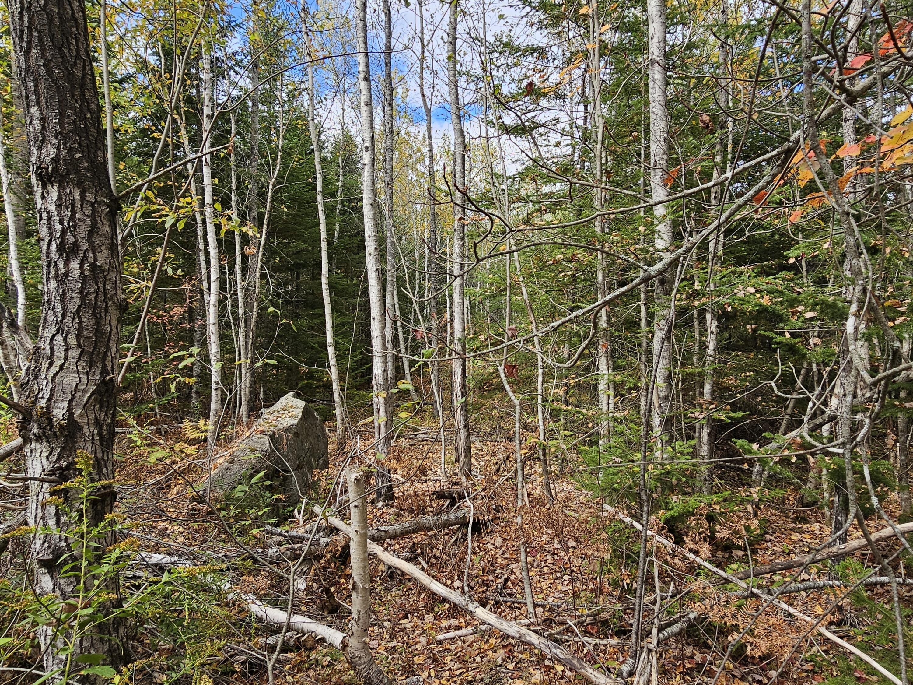 12 Fox Run Ellsworth, ME 04605 - Photo 10 of 25 20251001_124510
