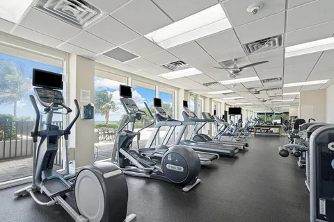 a living room with furniture potted plant floor to ceiling windows and a flat screen tv