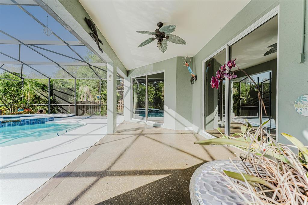 3645 Rochelle Lane Apopka, FL 32712 - Photo 28 of 39