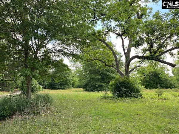 $60,000 | 967 Clay Hill Road, Pelion, SC 29123