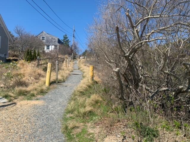87 Massasoit Road Wellfleet, MA 02667 - Photo 12 of 26 a view of a yard with large trees