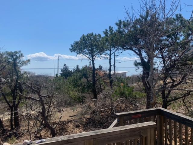87 Massasoit Road Wellfleet, MA 02667 - Photo 8 of 26 a view of trees and bushes