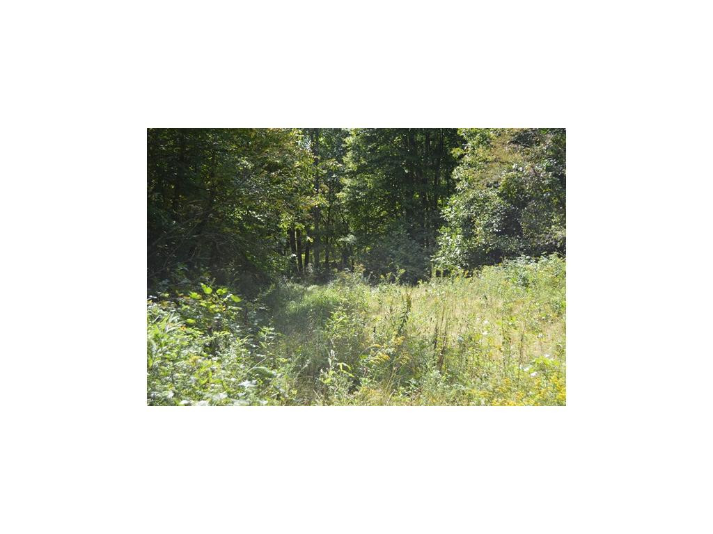 1 Poga Road Butler, TN 37640 - Photo 3 of 11 Partially Cleared