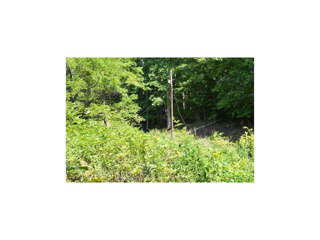 1 Poga Road Butler, TN 37640 - Photo 4 of 11 Photo 4