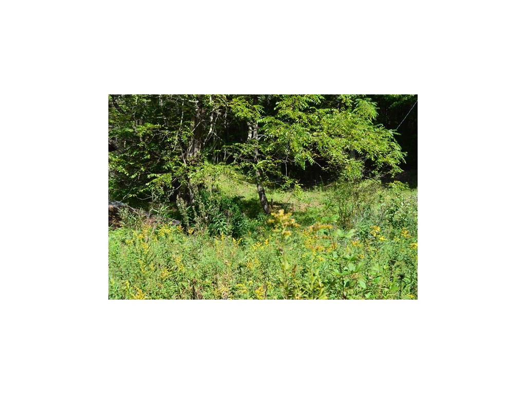 1 Poga Road Butler, TN 37640 - Photo 7 of 11 Photo 7