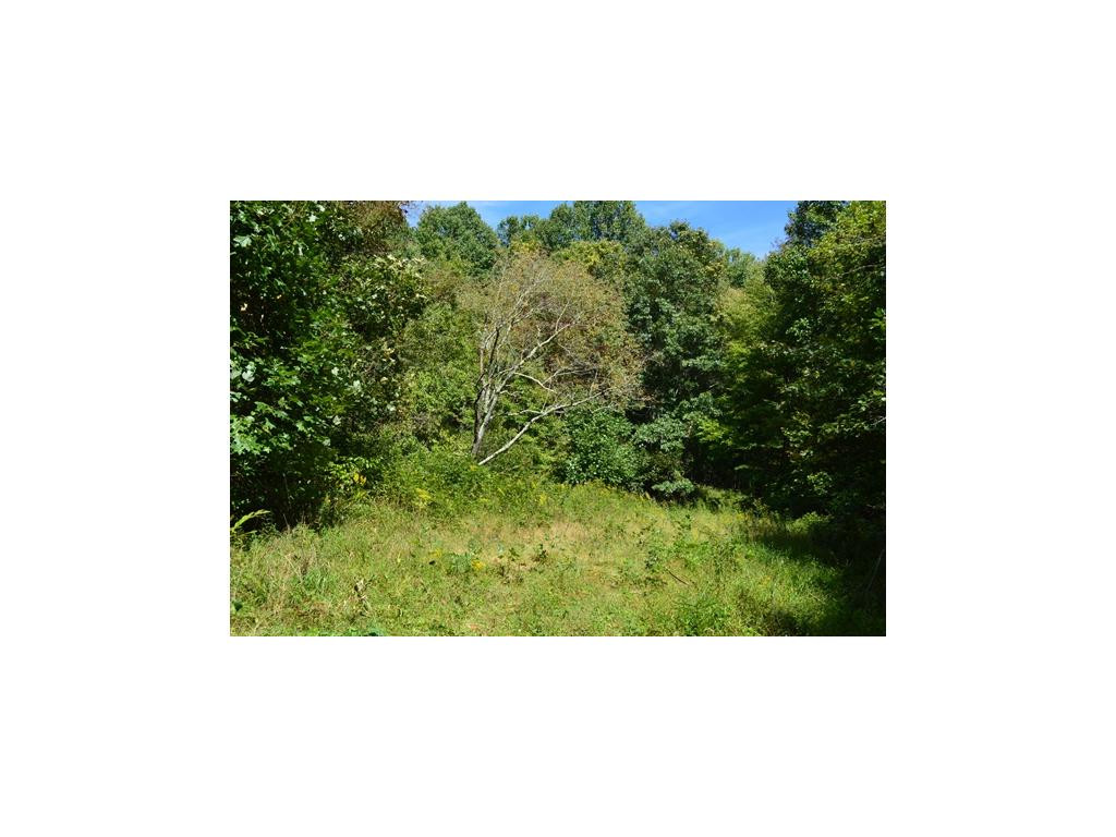 1 Poga Road Butler, TN 37640 - Photo 9 of 11 Photo 9