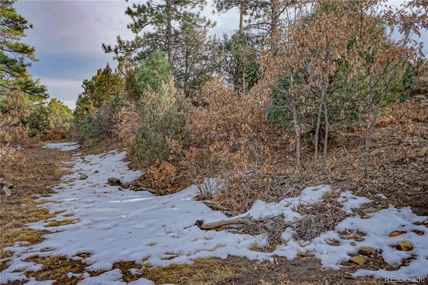 $385,000 | 33280 Turkey Creek Lane, Trinidad, CO 81082