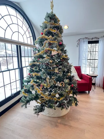 a front view of a house with a yard and trees