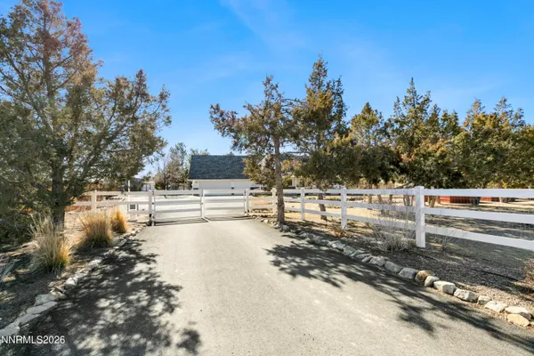 a view of a yard with trees