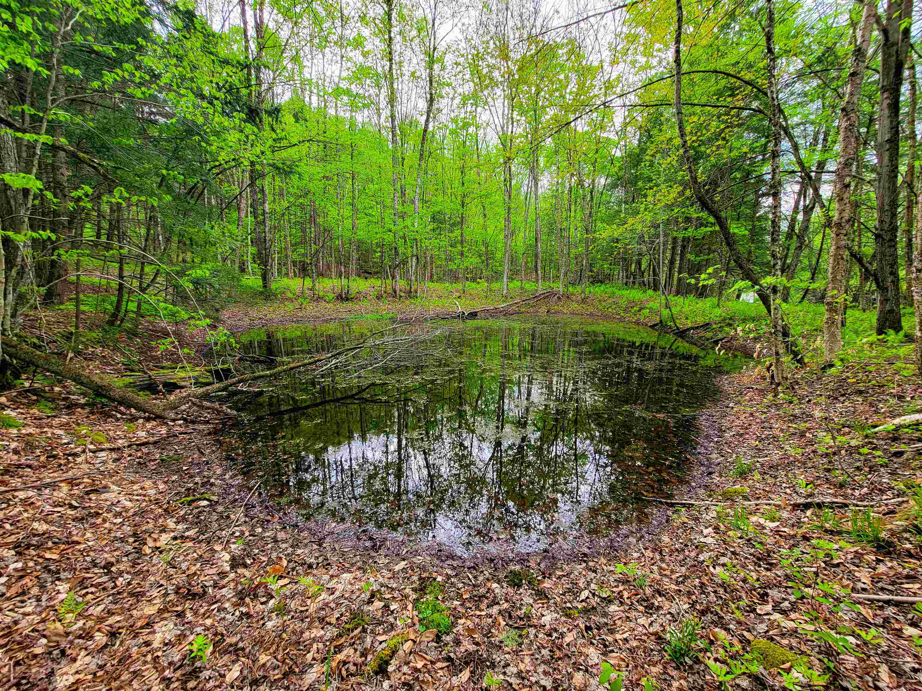 167 High Meadow Road Stowe, VT 05672 - Photo 43 of 60 Gallery Image 43