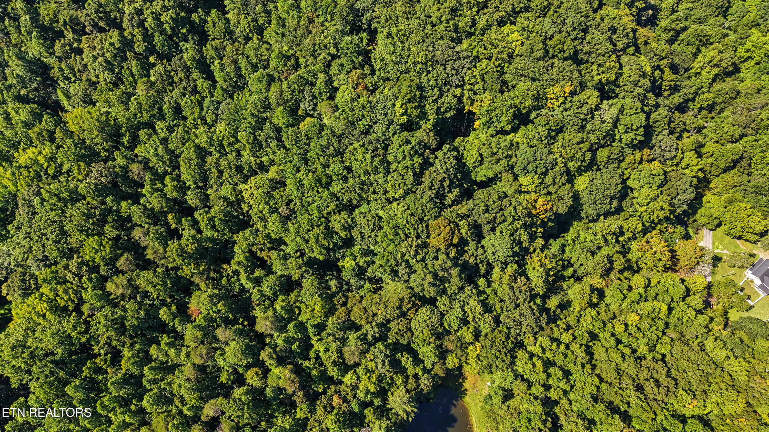 Tract 2-r-3 Cold Springs Road Walland, TN 37886 - Photo 13 of 17 DJI_20260824112634_0164_D-2
