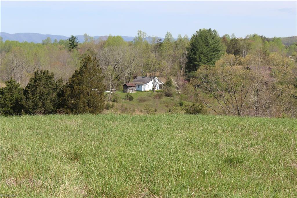 1121 Bowman Road Westfield, NC 27053 - Photo 1 of 24 Gallery Image 1