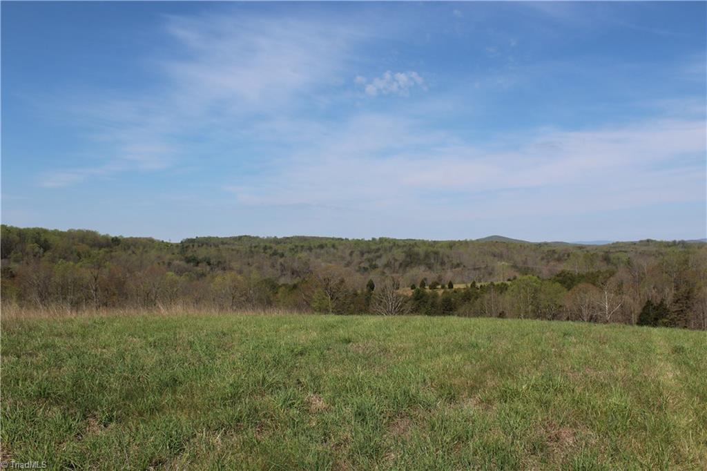 1121 Bowman Road Westfield, NC 27053 - Photo 2 of 24 Gallery Image 2
