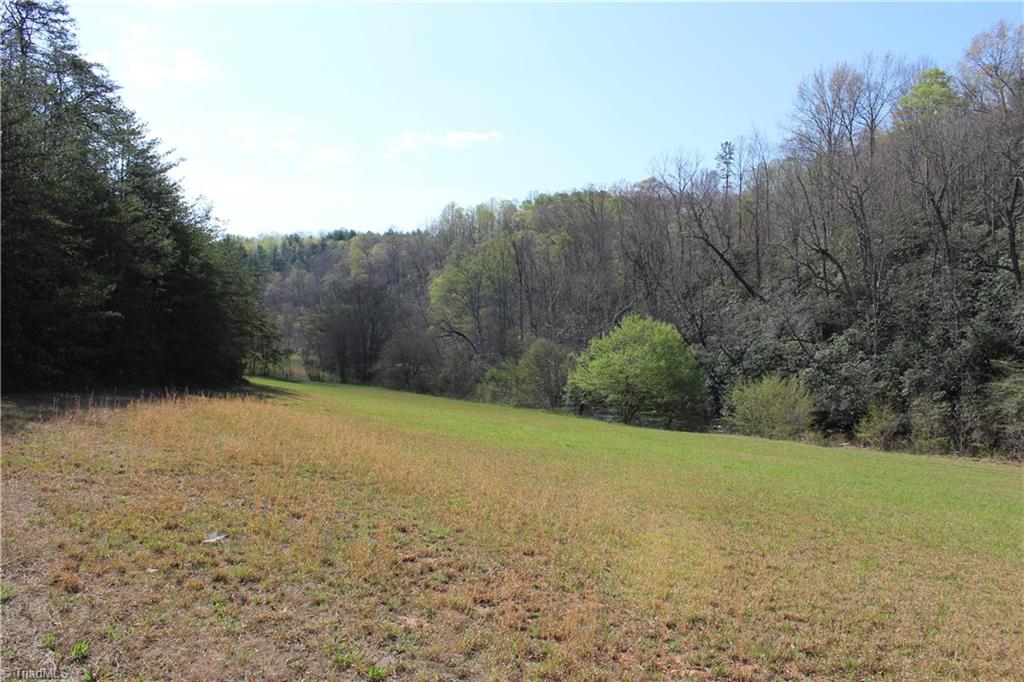 1121 Bowman Road Westfield, NC 27053 - Photo 11 of 24 Gallery Image 11