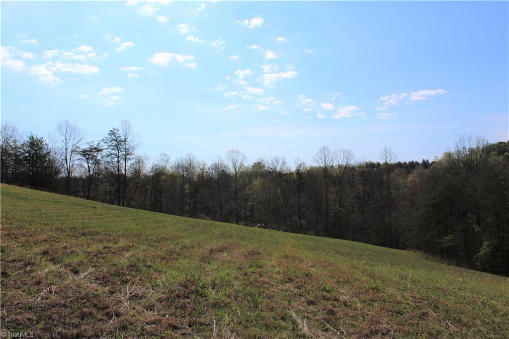 1121 Bowman Road Westfield, NC 27053 - Photo 12 of 24 Gallery Image 12