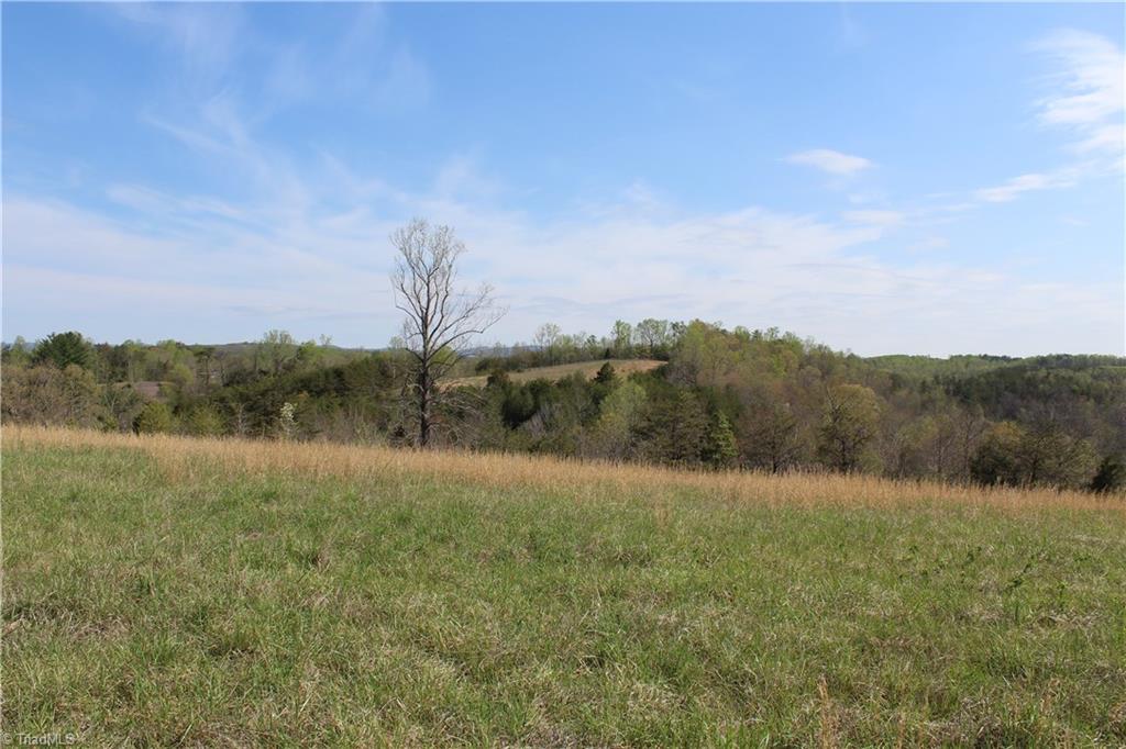 1121 Bowman Road Westfield, NC 27053 - Photo 13 of 24 Gallery Image 13