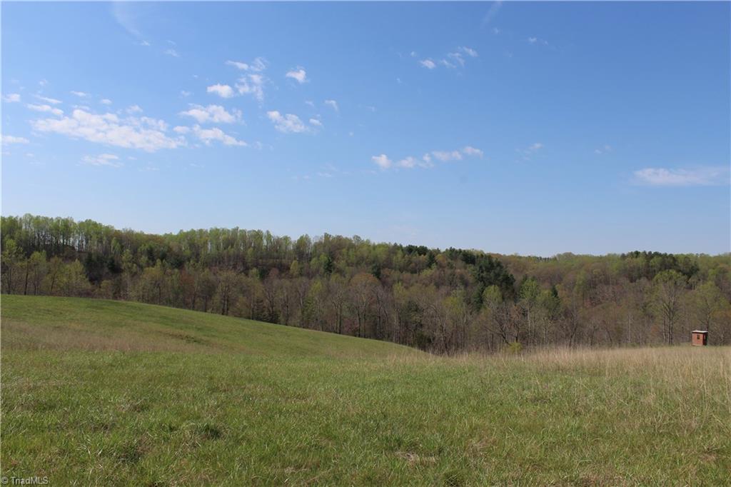 1121 Bowman Road Westfield, NC 27053 - Photo 14 of 24 Gallery Image 14