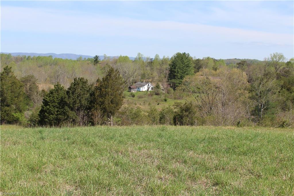 1121 Bowman Road Westfield, NC 27053 - Photo 15 of 24 Gallery Image 15