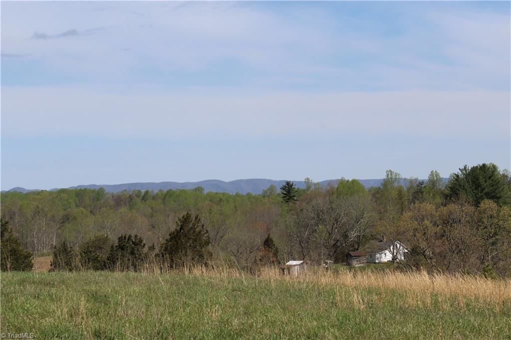 1121 Bowman Road Westfield, NC 27053 - Photo 16 of 24 Gallery Image 16