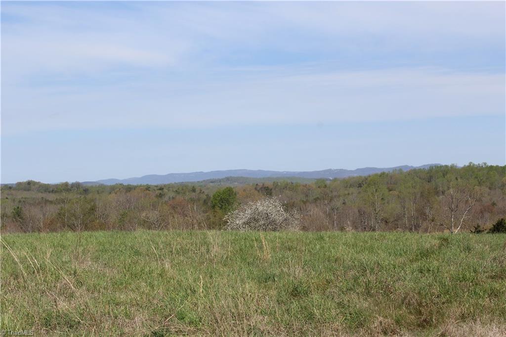 1121 Bowman Road Westfield, NC 27053 - Photo 17 of 24 Gallery Image 17