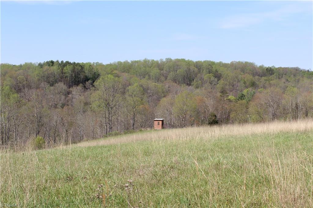 1121 Bowman Road Westfield, NC 27053 - Photo 18 of 24 Gallery Image 18