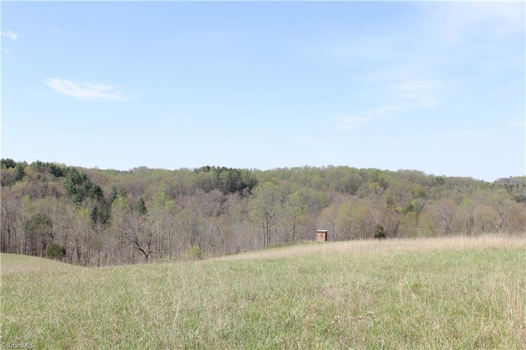 1121 Bowman Road Westfield, NC 27053 - Photo 19 of 24 Gallery Image 19